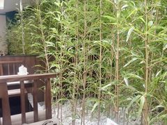-同湘会馆(粤垦路店)