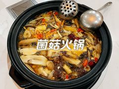 -菌之家·专业纯野生菌火锅·特色炒菌
