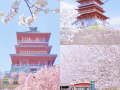 -古柏渡飞黄旅游区