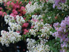 -杭州城北体育公园