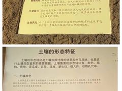 -中国农业博物馆