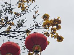 -云洞岩风景区