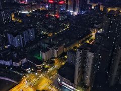 -339旋转餐厅(天府熊猫塔店)