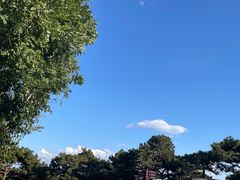 -北京西山国家森林公园