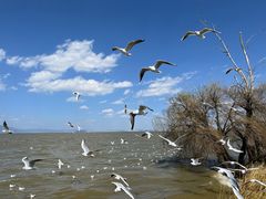 -捞渔河湿地公园