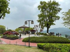 -铁山坪森林公园