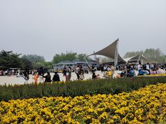 -石家庄市植物园