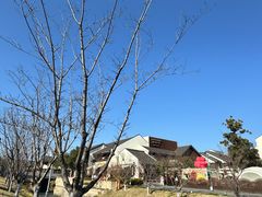 -银涛高尔夫练习场(徐泾店)