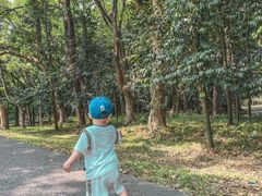 -华南国家植物园-售票处