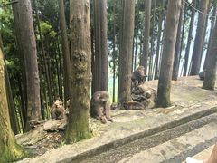 -太阳湾风景区