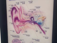 -海之声助听器 瑞士峰力直营中心(华麟大厦店)