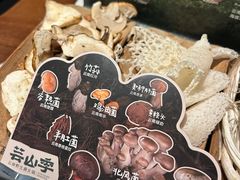 -芸山季·云南野生菌火锅(人民广场来福士店)