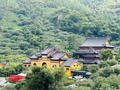 -树山生态村