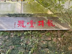 -龙井壹号·茶缘山景宴(龙井村店)