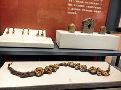 -四川大学博物馆