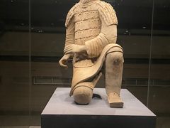 -秦始皇帝陵博物院(兵马俑)