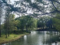 -贡湖湾湿地公园