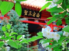 -哈尔滨极乐寺