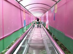 -牛鱼嘴原始生态风景区