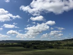 -乌兰布统景区-白桦林