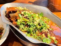 香辣炝锅鱼-树厨贵州菜(铜仁花果山店)