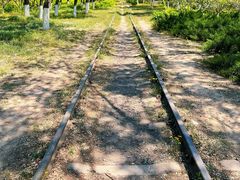 -永定河休闲森林公园