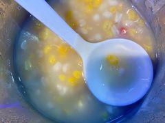 -挂雪铁锅炖大鹅
