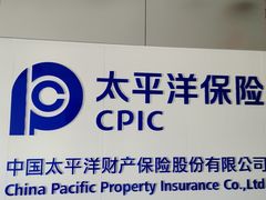 -中国太平洋财产保险股份有限公司(上海市松江支公司)