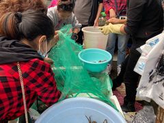 -青石桥市场北1-27号