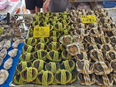 -南沙十九涌渔人码头-南门