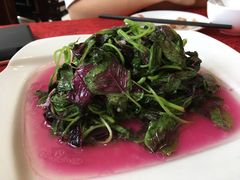 -石家饭店中市店