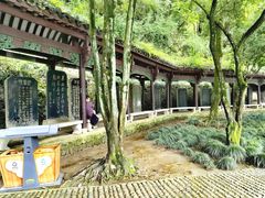 -严子陵钓台(富春江小三峡)