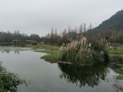 -贵阳市花溪国家城市湿地公园