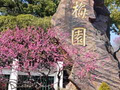 -无锡梅园公园