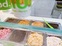 -Salud撒露欧洲冻酸奶(蓝色港湾店)