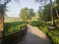 -云龙湖旅游景区