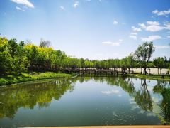 -东郊湿地公园