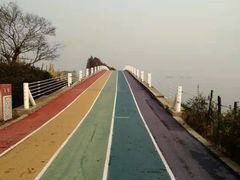 -贡湖湾湿地公园