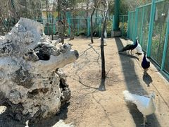 -水上乐园·欢乐世界