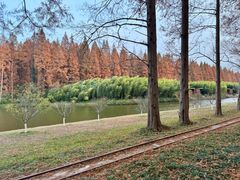 -黄海国家森林公园