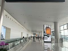 -广州白云国际机场-T2航站楼
