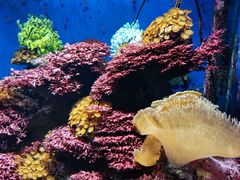 -海合安成都极地海洋公园