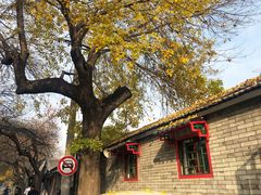 -VOYAGE COFFEE(北锣鼓巷店)