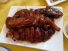 -姚林轩