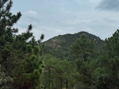 -灵岩山风景区