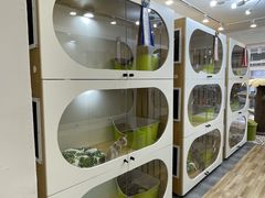 -青奢宠物·青奢猫舍