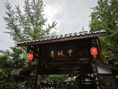 -青城甲(青城山店)