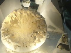 -红星美凯龙国际家居博览中心至尊mall停车场