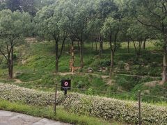 -杭州野生动物世界