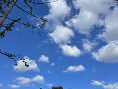 -航海博物馆餐厅